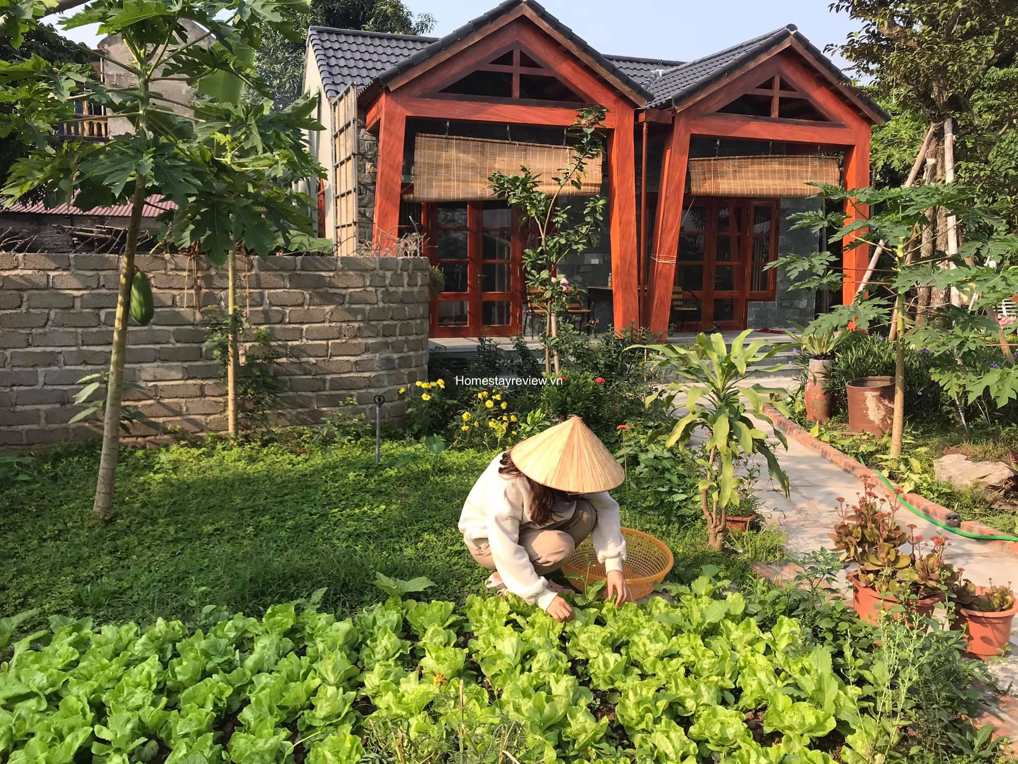 Top 20 Homestay Ninh Bình – Tràng An – Tam Cốc giá rẻ view đẹp