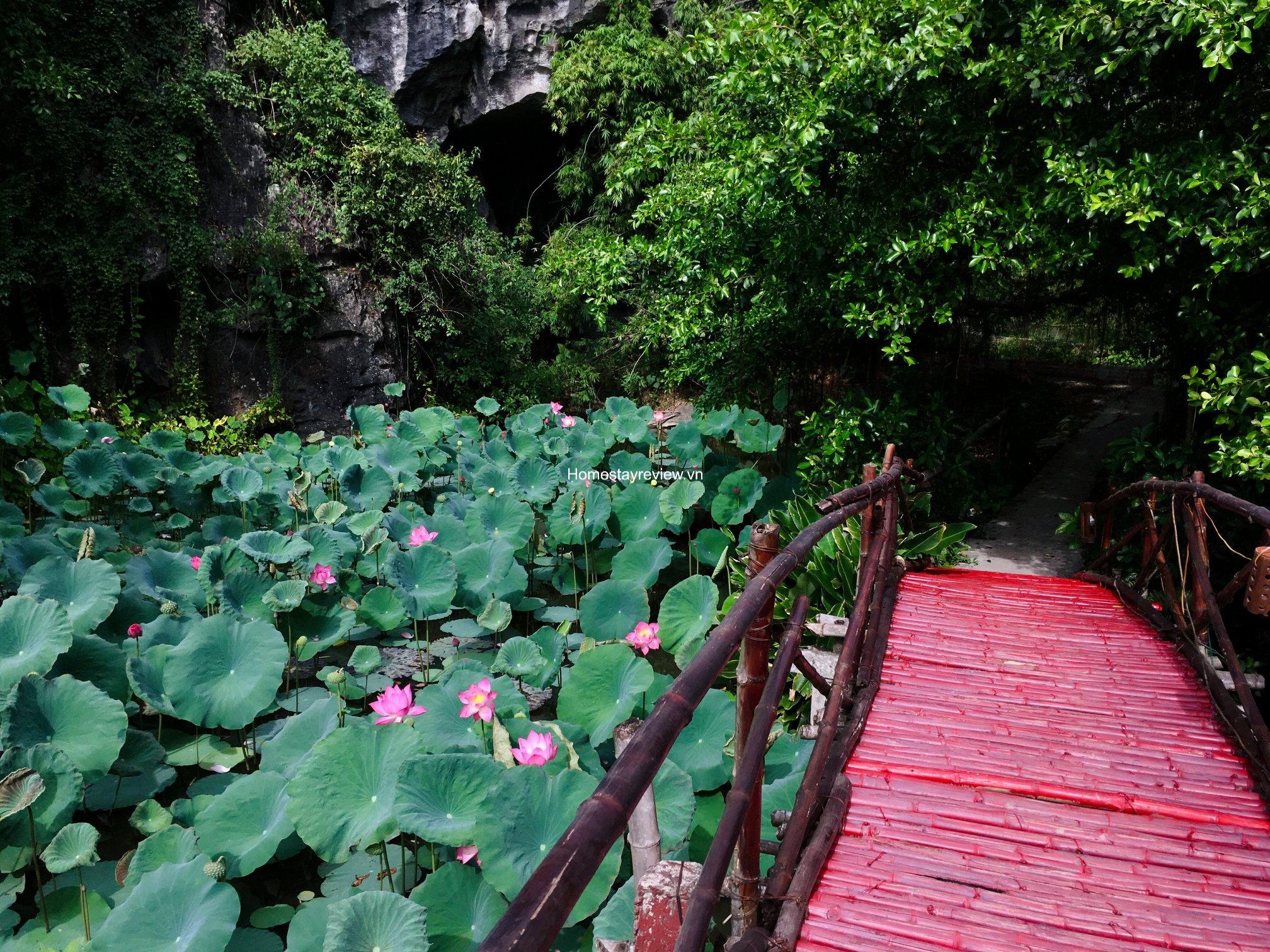 Top 20 Homestay Ninh Bình – Tràng An – Tam Cốc giá rẻ view đẹp