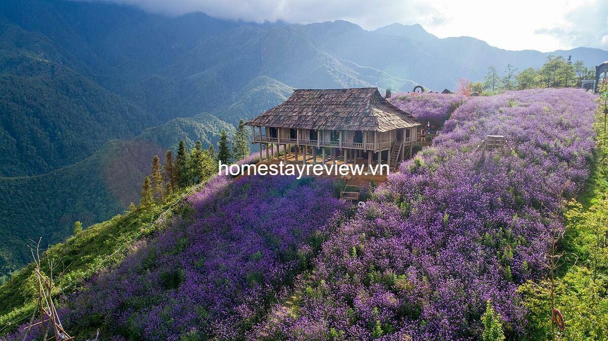 Top 20 homestay Sapa Lào Cai giá rẻ view đẹp gần chợ đêm trung tâm