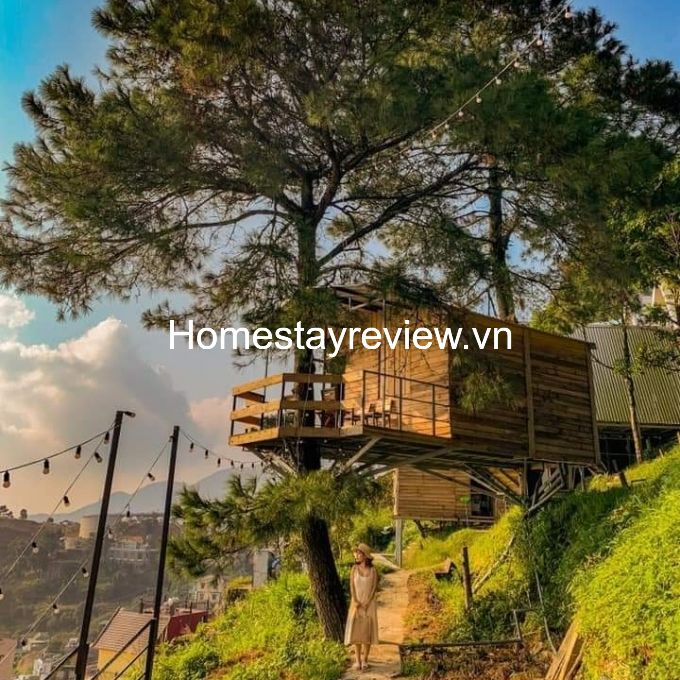 Top 20 homestay Tam Đảo Vĩnh Phúc giá rẻ view đẹp săn mây có hồ bơi