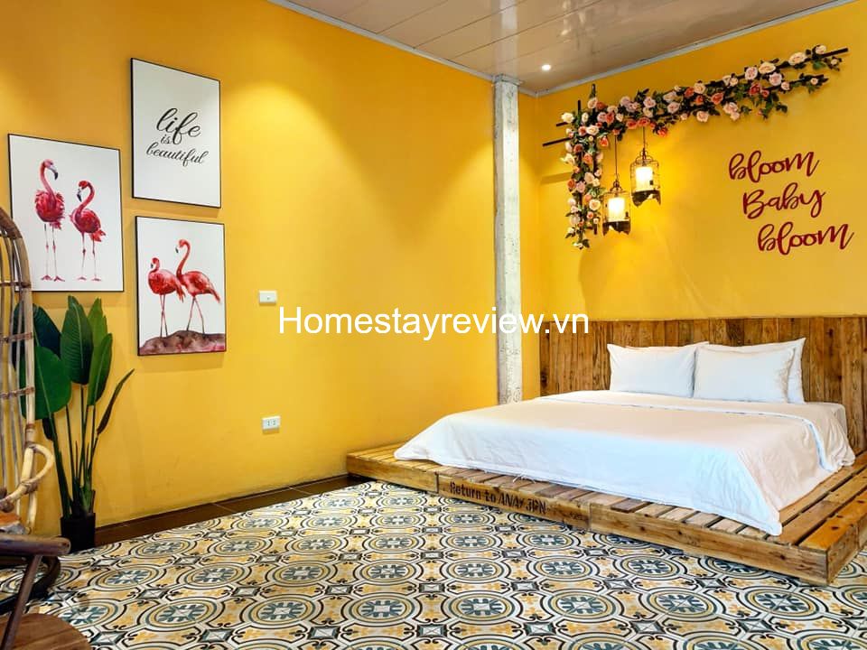 Top 20 homestay Tam Đảo Vĩnh Phúc giá rẻ view đẹp săn mây có hồ bơi