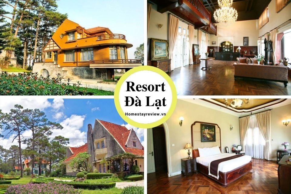 Top 25 Resort Đà Lạt giá rẻ view rừng thông đẹp chuẩn 3-4-5 sao tốt nhất