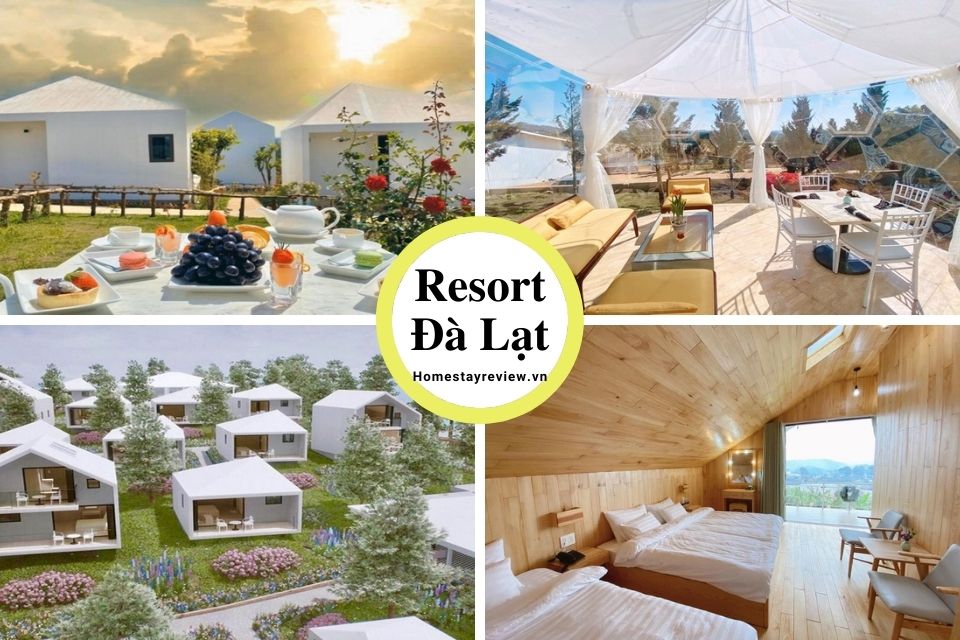 Top 25 Resort Đà Lạt giá rẻ view rừng thông đẹp chuẩn 3-4-5 sao tốt nhất