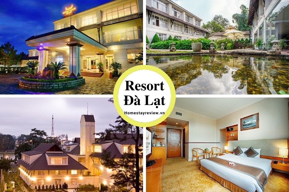 Top 25 Resort Đà Lạt giá rẻ view rừng thông đẹp chuẩn 3-4-5 sao tốt nhất