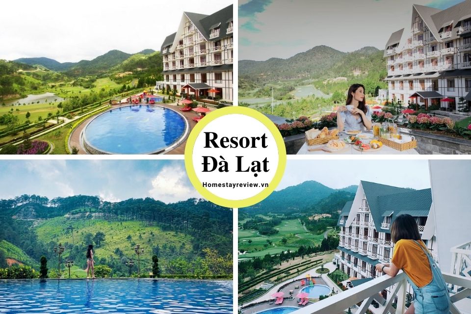 Top 25 Resort Đà Lạt giá rẻ view rừng thông đẹp chuẩn 3-4-5 sao tốt nhất