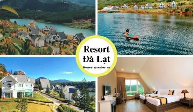 Top 25 Resort Đà Lạt giá rẻ view rừng thông đẹp chuẩn 3-4-5 sao tốt nhất