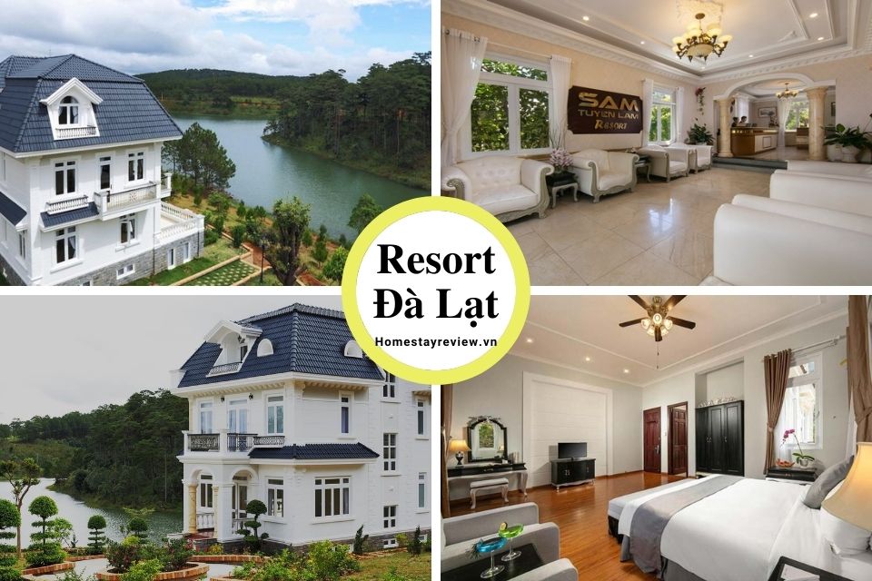 Top 25 Resort Đà Lạt giá rẻ view rừng thông đẹp chuẩn 3-4-5 sao tốt nhất