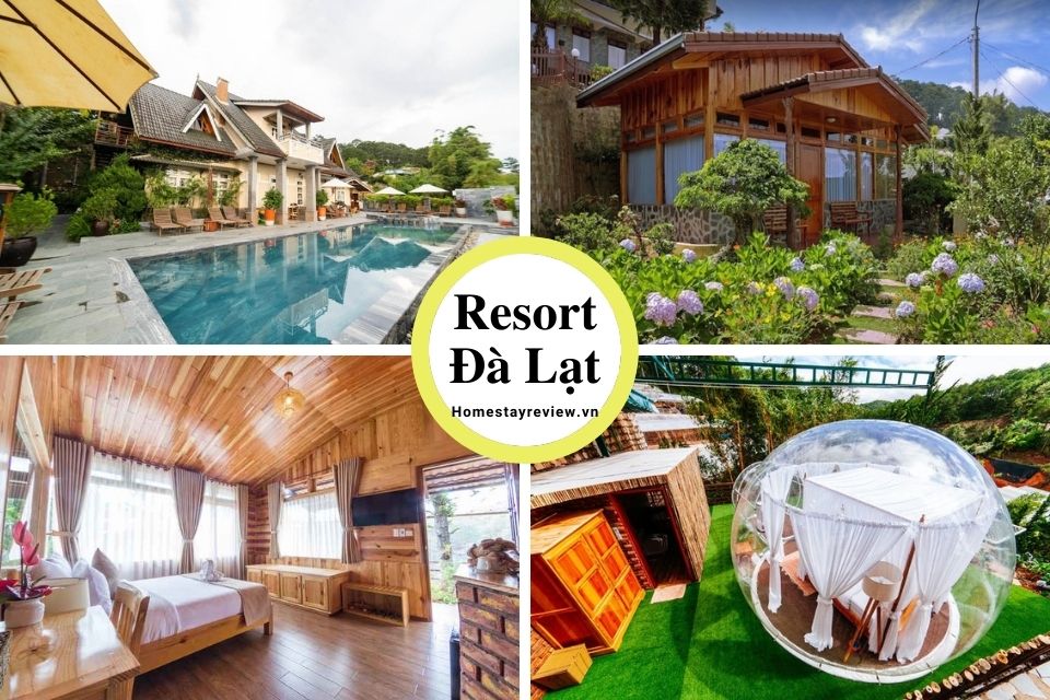 Top 25 Resort Đà Lạt giá rẻ view rừng thông đẹp chuẩn 3-4-5 sao tốt nhất