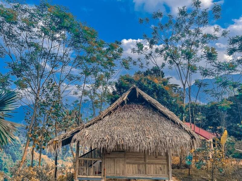 Top 15 Homestay Pù Luông view ngắm núi và ruộng bậc thang đẹp nhất