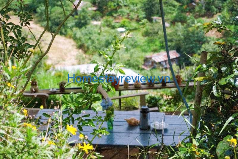 Cú Trên Cây Homestay: Homestay "lơ lửng" lưng chừng đồi độc lạ ở Đà Lạt