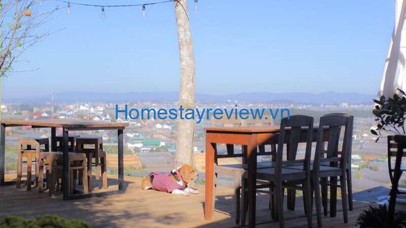 Hai Ả Homestay: Nơi cùng nhau tận hưởng trọn vẹn vẻ đẹp Đà Lạt