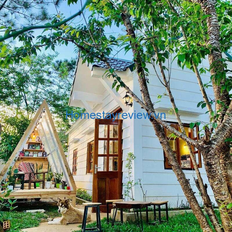 Top 10 Homestay Măng Đen giá rẻ view đẹp cho thuê nguyên căn tốt nhất