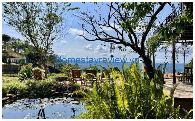 Top 10 Homestay săn mây Đà Lạt có view đẹp ngắm đồi rừng núi