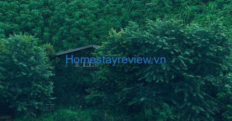 Ngó Dâu Homestay: Căn nhà nhỏ xinh trên đồi view thiên nhiên 360 độ