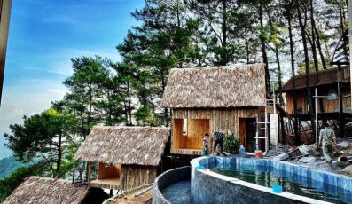 Pine Hill Homestay - Ngôi nhà gỗ nhỏ xinh trên đỉnh đồi view thung lũng