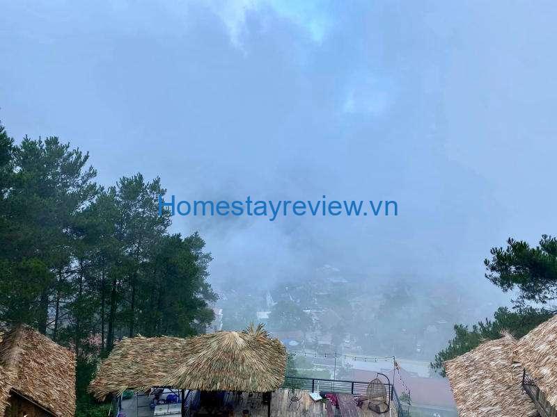 Pine Hill Homestay - Ngôi nhà gỗ nhỏ xinh trên đỉnh đồi view thung lũng