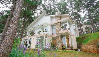 Top 40 Biệt thự villa Đà Lạt giá rẻ đẹp ở trung tâm chợ đêm cho thuê