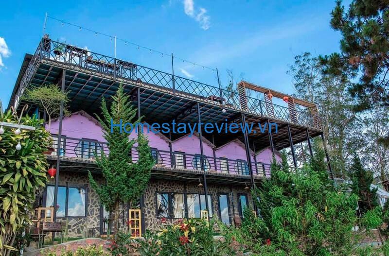 Windy Hill Coffee & Homestay: View thung lũng rừng thông bạt ngàn