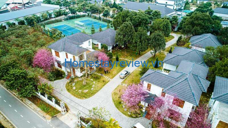 Top 8 Resort Mộc Châu và khu nghỉ dưỡng ở Mộc Châu view đẹp nhất