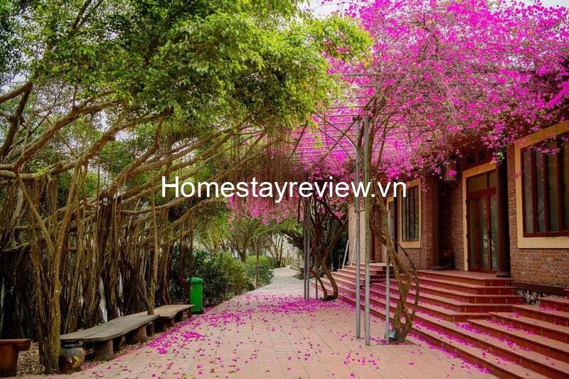 Thảo Viên Resort Sơn Tây: Khu nghỉ dưỡng bình yên ở ngoại thành Hà Nội