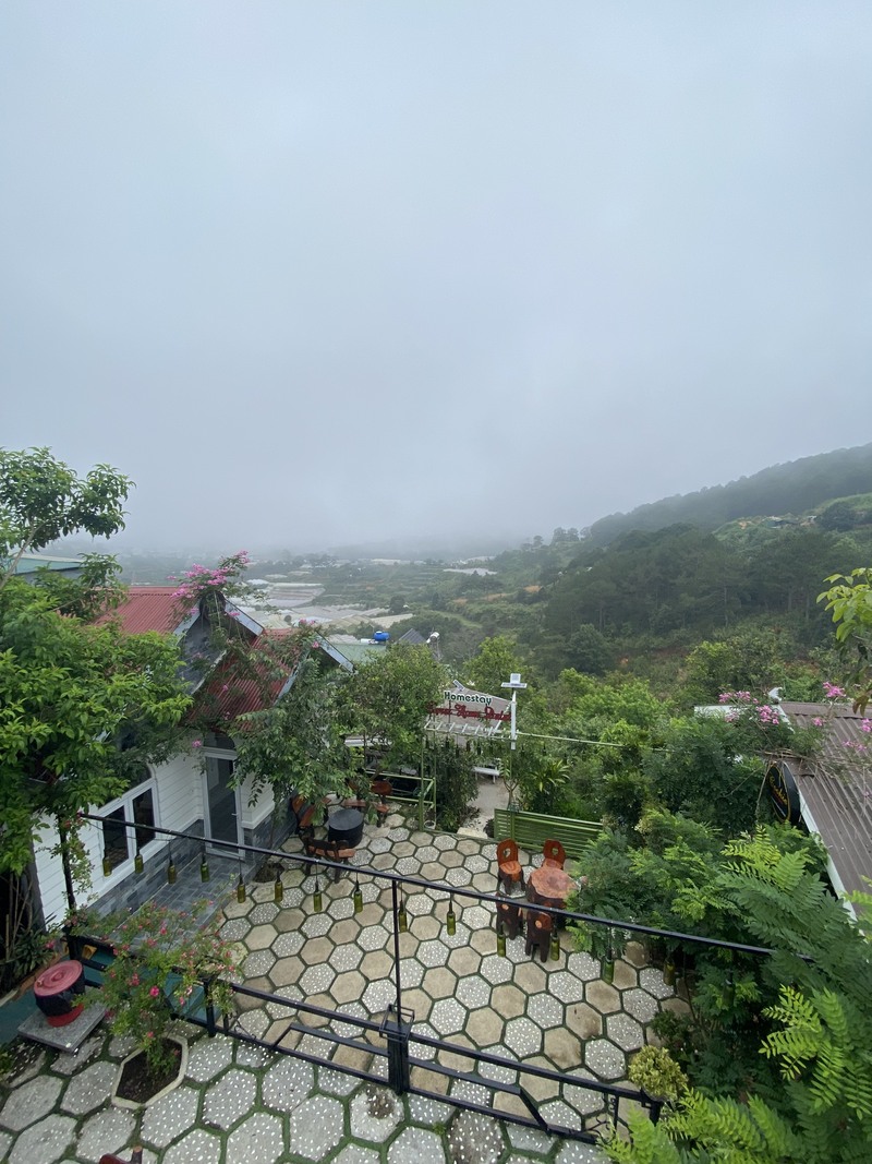 Top 76 Homestay Đà Lạt giá rẻ view đẹp gần trung tâm chợ đêm giá 500k