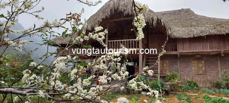 10 Homestay Bắc Hà view đẹp khiến du khách mê như điếu đổ