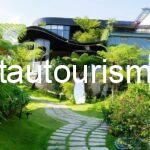 Top 9 Homestay Di Linh đẹp giá rẻ có view thiên nhiên cực đẹp