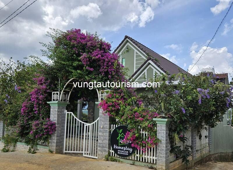 Top 9 Homestay Di Linh đẹp giá rẻ có view thiên nhiên cực đẹp