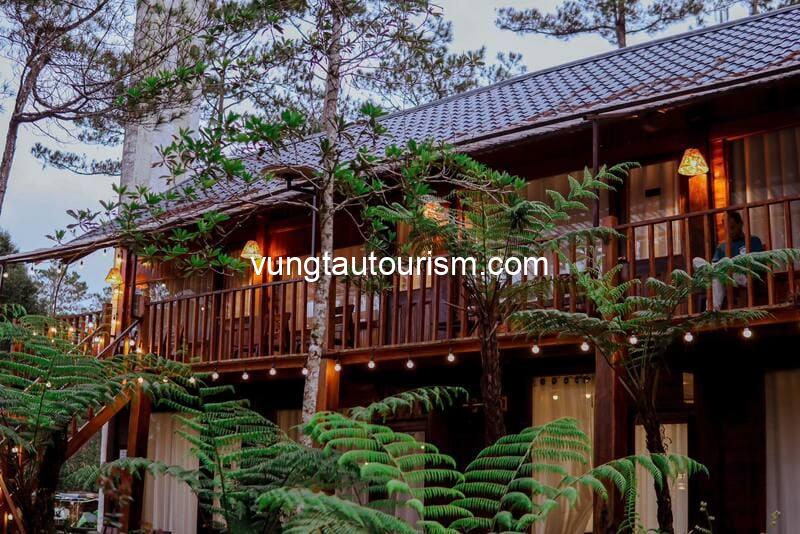 Alba-ra homestay Măng Đen: Căn nhà gỗ xinh xắn giữa rừng thông
