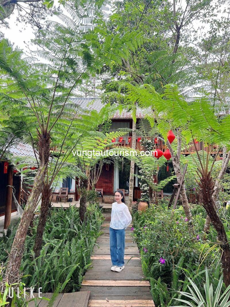 Alba-ra homestay Măng Đen: Căn nhà gỗ xinh xắn giữa rừng thông