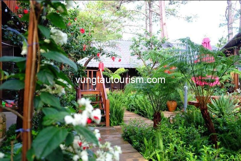 Alba-ra homestay Măng Đen: Căn nhà gỗ xinh xắn giữa rừng thông