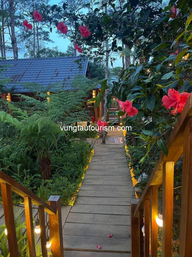 Alba-ra homestay Măng Đen: Căn nhà gỗ xinh xắn giữa rừng thông