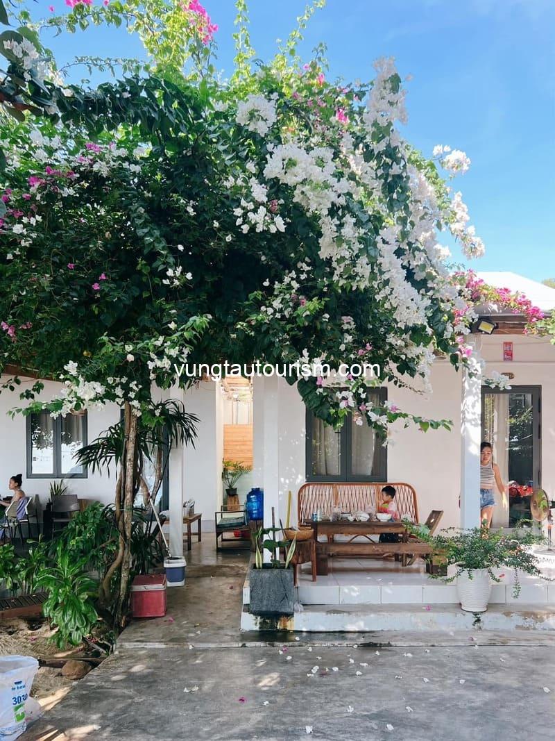Ann Homestay Phú Yên: Khu nghỉ view biển ở Cù Lao Mái Nhà