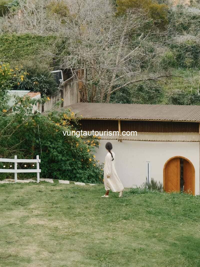 Archy Stayin: Khu cafe homestay đẹp bình yên ở Đà Lạt