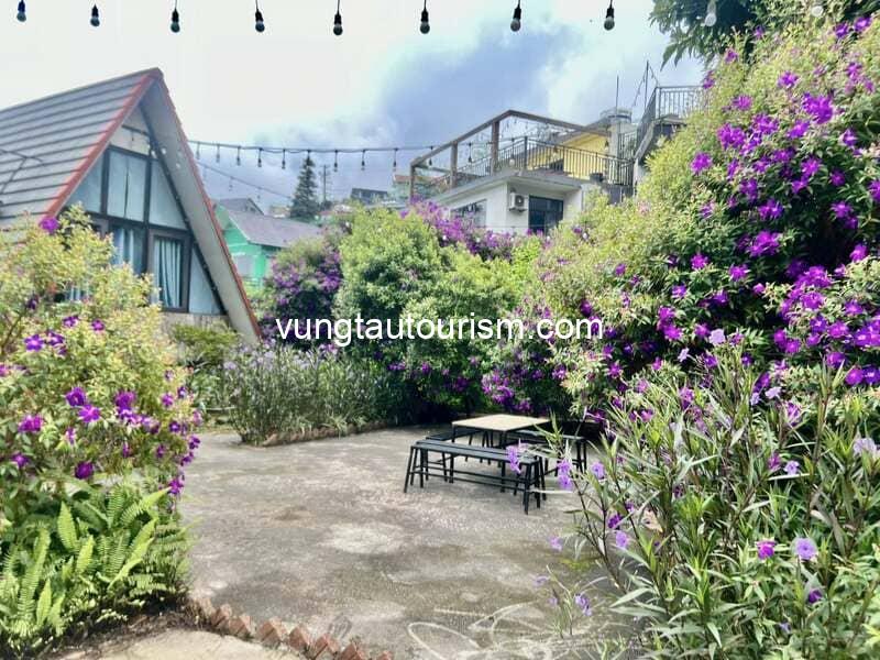 Ban Mai Xanh Homestay Tam Đảo: view panorama hướng núi đẹp
