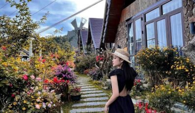 Cầu Mây homestay Tam Đảo: Căn nhà gỗ thông có nhiều góc sống ảo