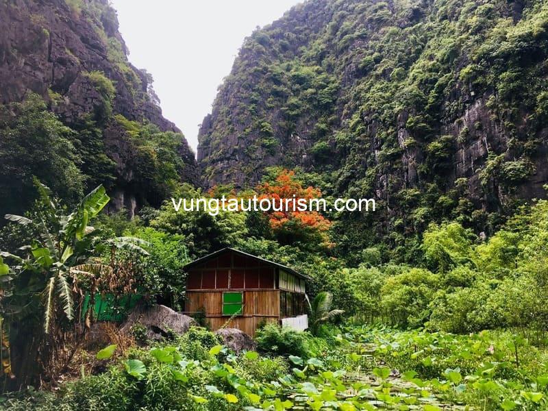 Chez Beo Homestay: Bungalow nhà gỗ trên vách núi cực đẹp