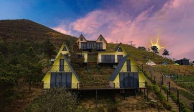 Đom Đóm Homestay Tà Xùa: Chốn nghỉ có farm dâu tây trải nghiệm