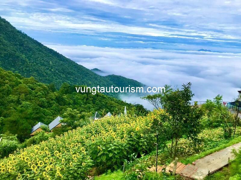 Eo Gió Homestay Tam Đảo: có view ngắm thung lũng vườn hoa