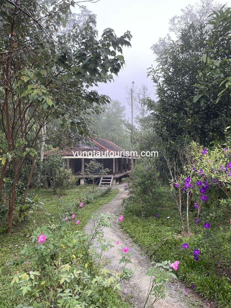 Hachi Homestay & Spa A Lưới: Căn nhà sàn yên bình giữa rừng