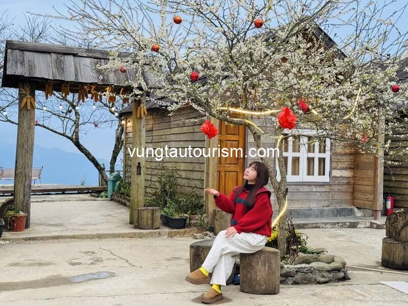 Homestay Tà Xùa Mùa Trứ - Thiên đường săn mây giữa núi rừng