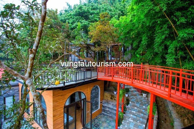 Homestay Thanh Tú Tam Đảo: Nhà nguyên căn 4 phòng 20 khách