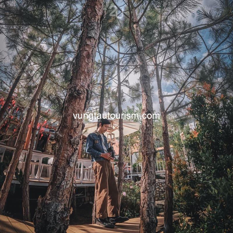 In The Pines Homestay Đà Lạt: Chốn nghỉ đẹp như truyện cổ tích
