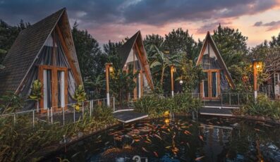 In The Pines Homestay Đà Lạt: Chốn nghỉ đẹp như truyện cổ tích