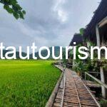 Little Mai Chau Homestay: Những căn bungalow giữa cánh đồng lúa