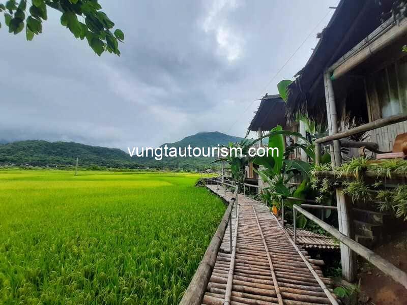 Little Mai Chau Homestay: Những căn bungalow giữa cánh đồng lúa