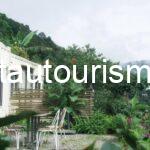 Lofi homestay Tà Xùa: Khu vườn cổ tích Ghibli giữa biển mây