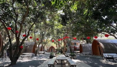 Mango Homestay Phước Hải: Khu nghỉ xanh mát nằm giữa rừng xoài