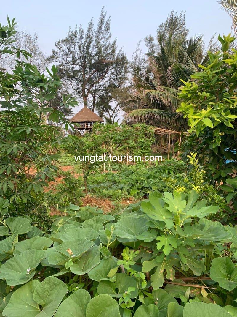 ME Homestay Mũi Né: Khu nghỉ dưỡng sinh thái bên bờ biển