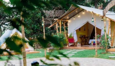 Moon Garden Homestay: Thiên đường nghỉ dưỡng sinh thái ở Sơn Tây